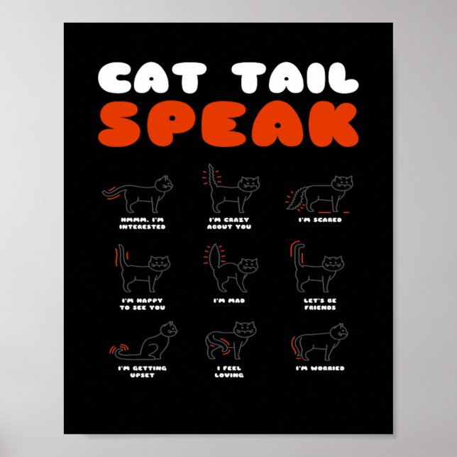 Cat Tail Speak Cat Kitten Meow Animal Poster (Front)