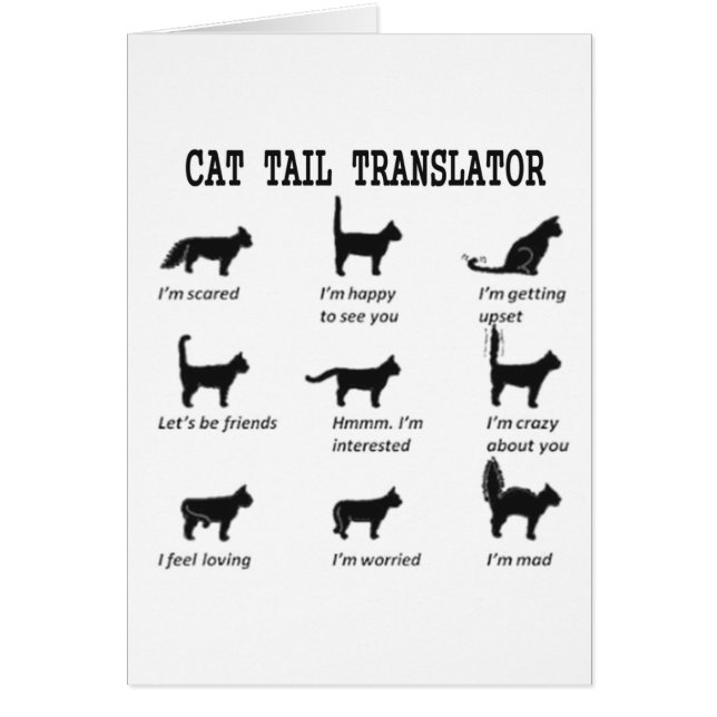 CAT TAIL TRANSLATOR (Front)