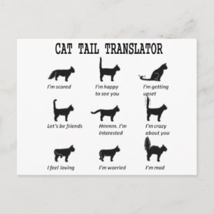 CAT TAIL TRANSLATOR POSTCARD