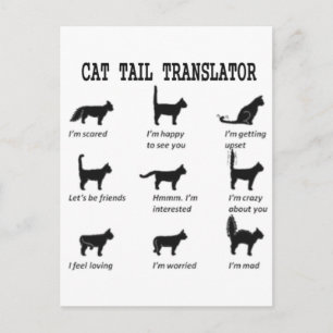 CAT TAIL TRANSLATOR POSTCARD