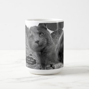 Cat Taking Purrfect Selfie Mug