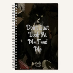 Cat Talk Bullet Journal