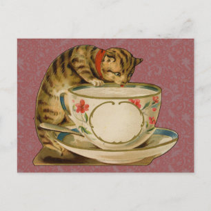 Cat Teacup Cute Vintage Victorian Pet Classic Postcard