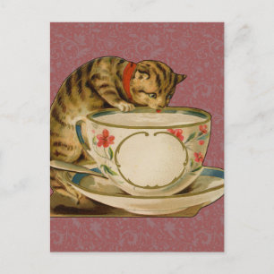 Cat Teacup Cute Vintage Victorian Pet Classic Postcard
