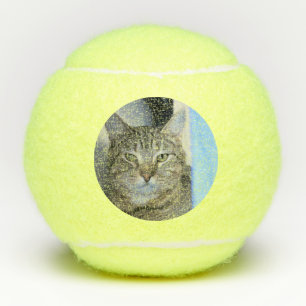 Cat Tennis Balls