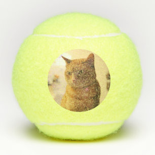 Cat Tennis Balls