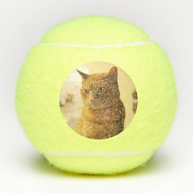 Cat Tennis Balls (Front)