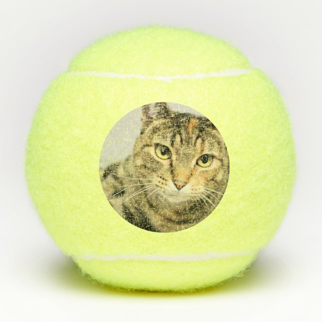 Cat Tennis Balls (Front)