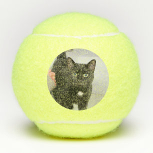 Cat Tennis Balls