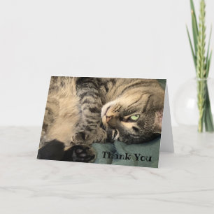 Cat Thank You Card