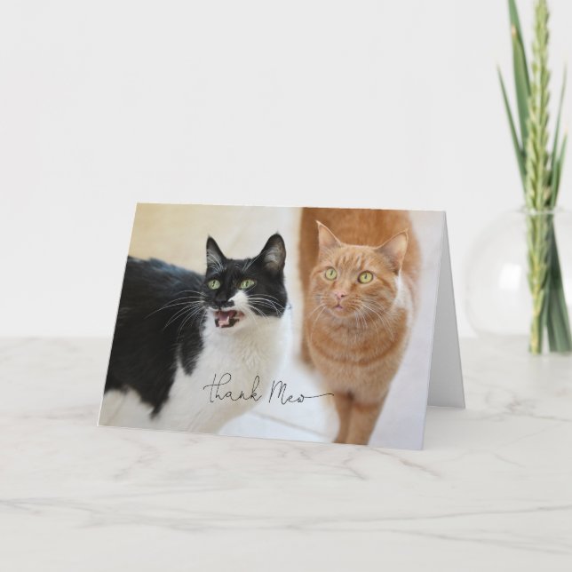Cat Thank You Card (Front)