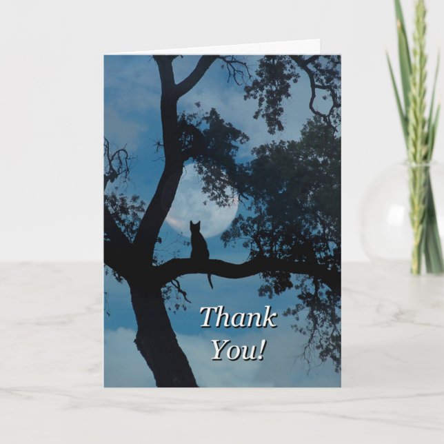 Cat Thank You Card for Vet, Veterinarian Service (Front)