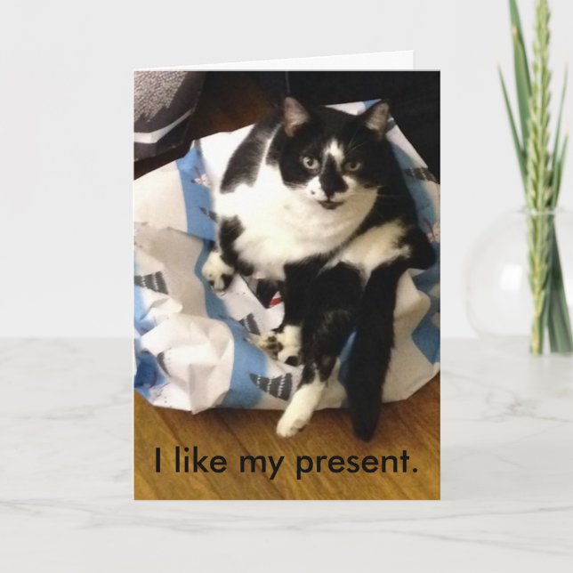 Cat Thank you for my Christmas present cards (Front)