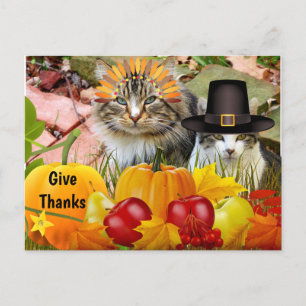 Cat Thanksgiving Pumpkins / From Cat Collage Postcard