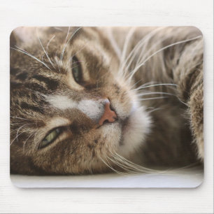 Cat, The Hangover, Cat's Eye Mouse Mat