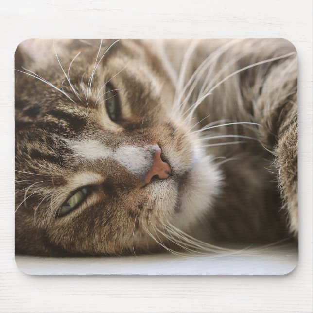 Cat, The Hangover, Cat's Eye Mouse Mat (Front)