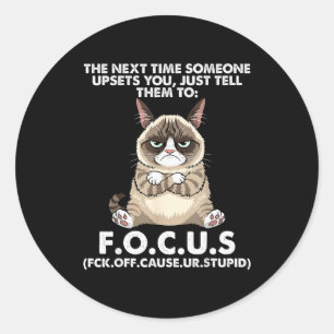 Cat The Next Time Someone Ets You Just Tell Them T Classic Round Sticker