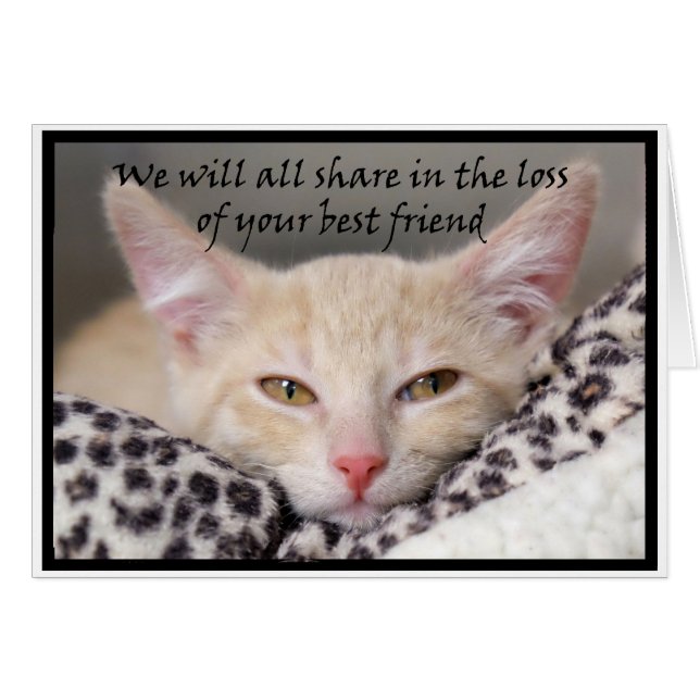 Cat theme bereavement card for loss of a pet (Front Horizontal)