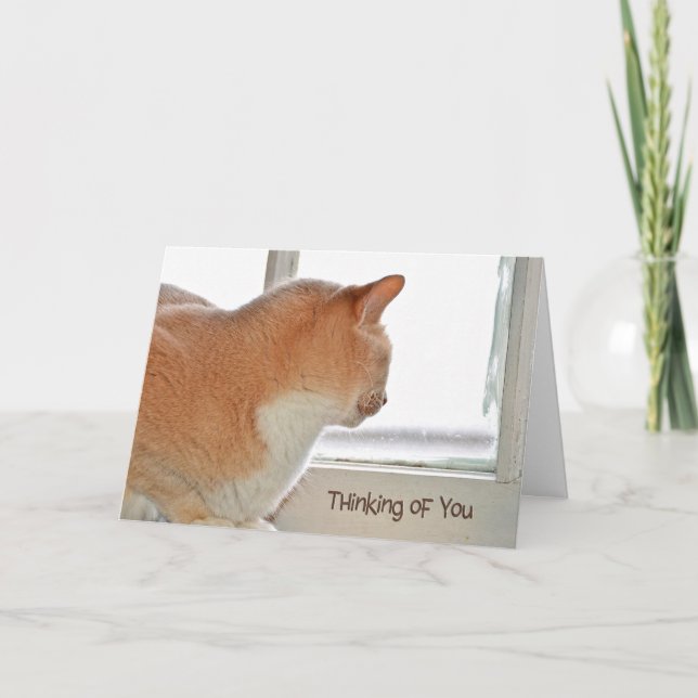 Cat thinking of you card (Front)