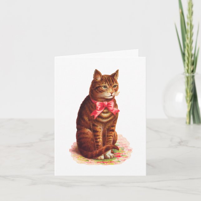 Cat Thinking of You Card - Customisable (Front)