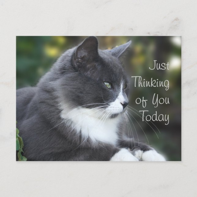 Cat Thinking of You card or any occasion (Front)