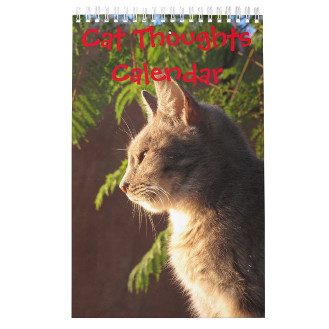 Cat Thoughts Calendar (Cover)