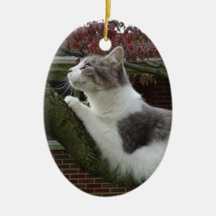 Cat Thoughts Ceramic Tree Decoration