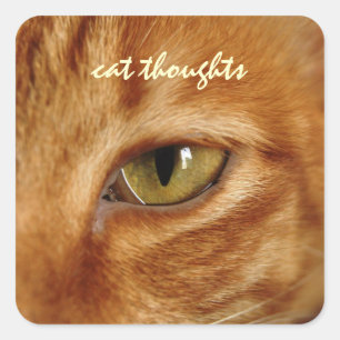 cat thoughts square sticker