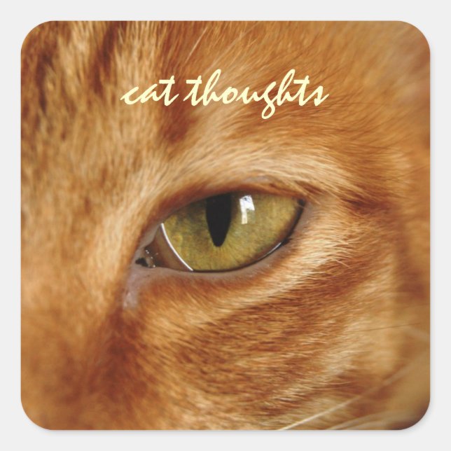 cat thoughts square sticker (Front)