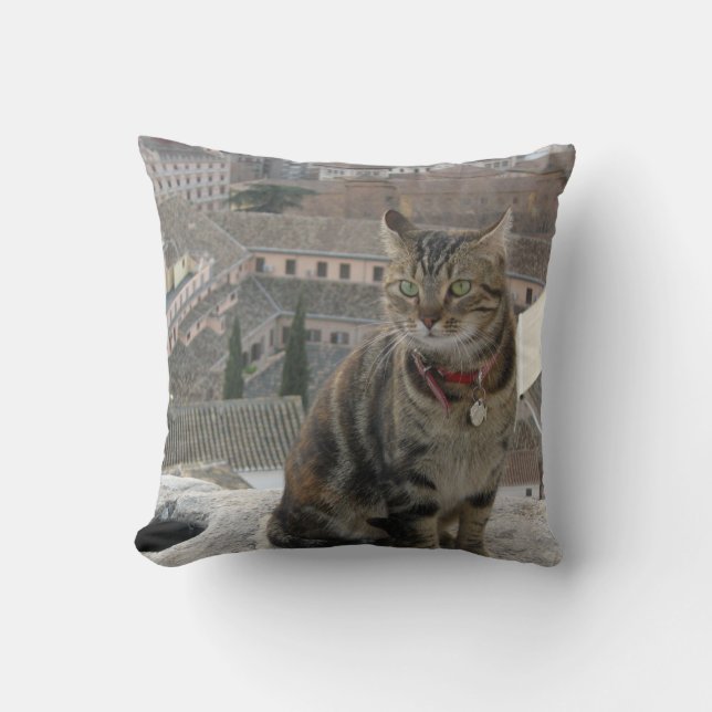 Cat Throw Cushion 41 cm x 41 cm (Front)