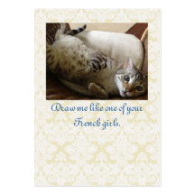 Cat Titanic Quote Brocade Gift Tag