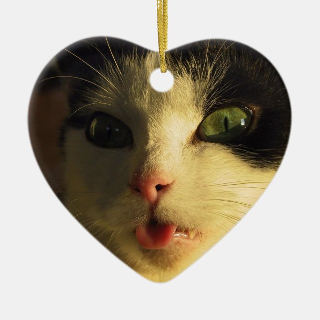 Cat Tongue Ceramic Tree Decoration (Front)
