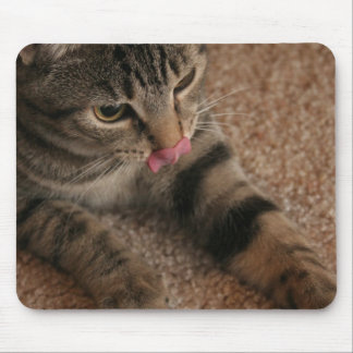 Cat Tongue Mouse Mat