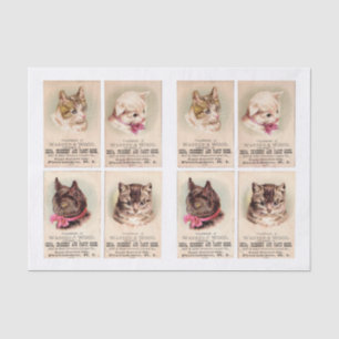 Cat Trade Cards by Helena Maguire (1860-1909)  Tissue Paper