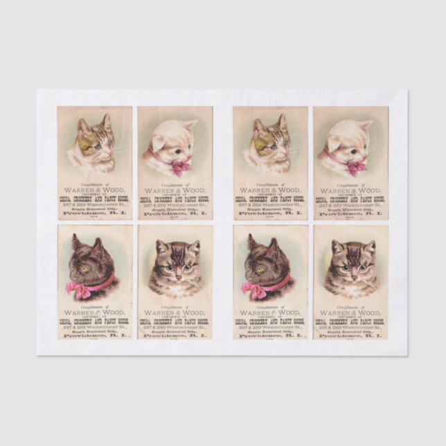 Cat Trade Cards by Helena Maguire (1860-1909)  Tissue Paper (Front)