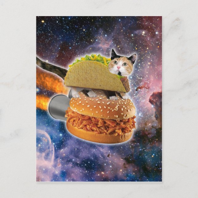Cat travelling on a rocketburger postcard (Front)