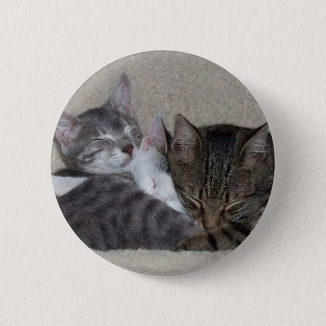 Cat Trio Button (Front)