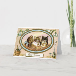 Cat Trio Congratulations - Special Occasion Holiday Card
