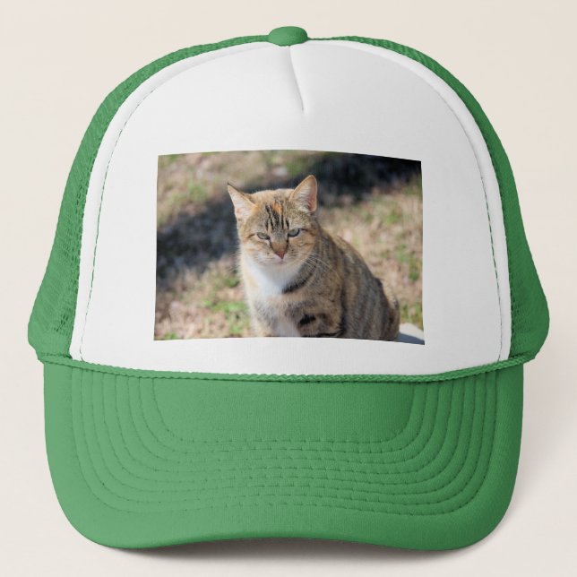 Cat Trucker Hat (Front)