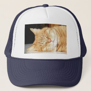 cat trucker hat