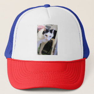 Cat  trucker hat