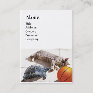 CAT ,TURTLE  AND BASKETBALL BUSINESS CARD
