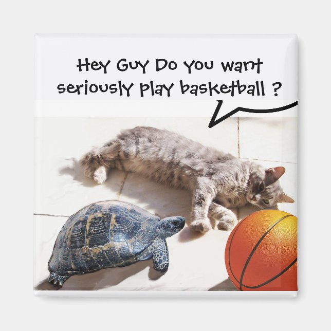 CAT ,TURTLE AND BASKETBALL MAGNET (Front)