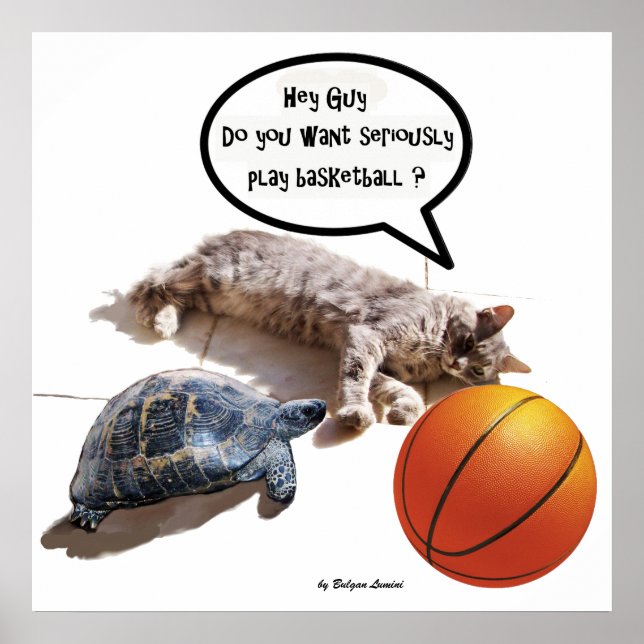 CAT ,TURTLE  AND BASKETBALL POSTER (Front)