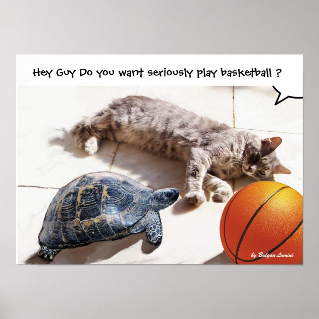 CAT ,TURTLE  AND BASKETBALL POSTER (Front)