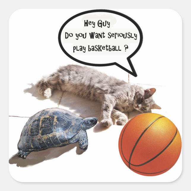 CAT TURTLE AND BASKETBALL SQUARE STICKER (Front)