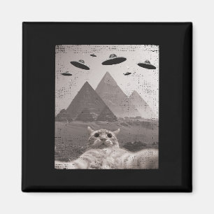 Cat Ufo Meme - Funny Cat Selfie With Ufos Magnet
