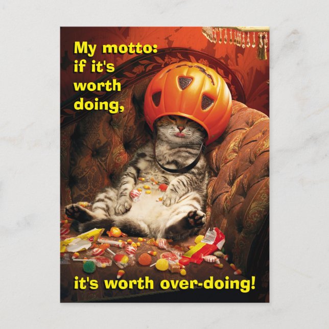 Cat Under Candy Bucket Invitation Postcard (Front)