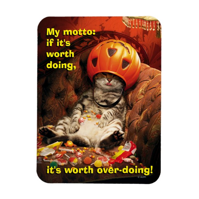 Cat Under Candy Bucket Magnet (Vertical)