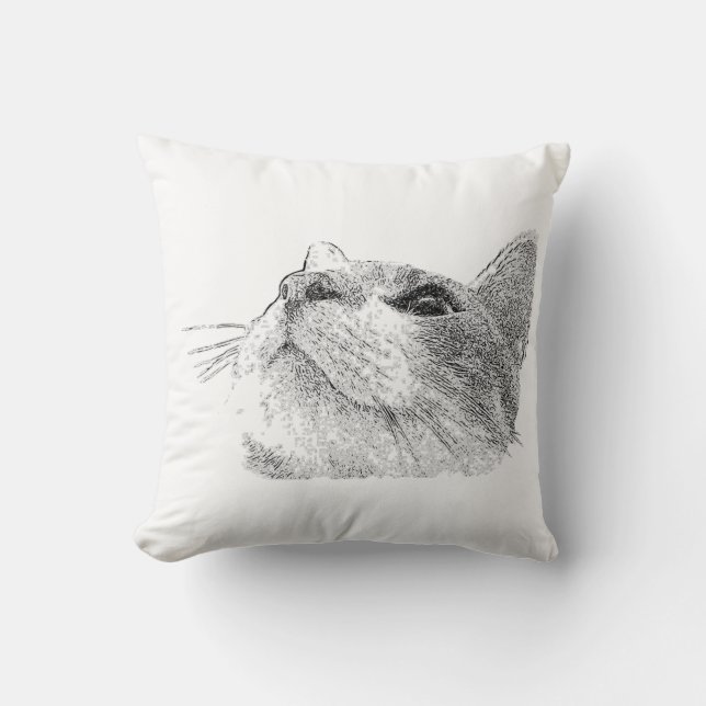 Cat Up pillow (Front)